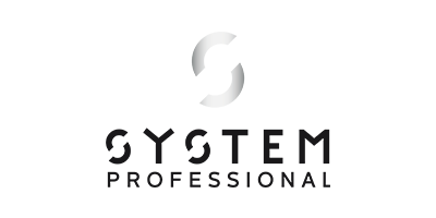 System Professional