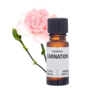 Amphora Aromatics Carnation Fragrance 10ml