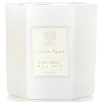 Antica Farmacista Candle Cucumber & Lotus Flower 255g