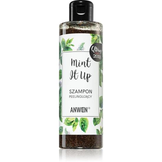 Anwen Mint It Up Shampoo
