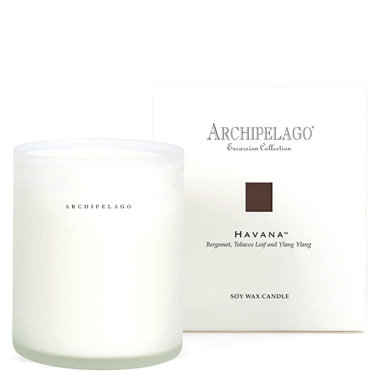 Archipelago Botanicals Excursion Collection Soy Wax Candle Havana