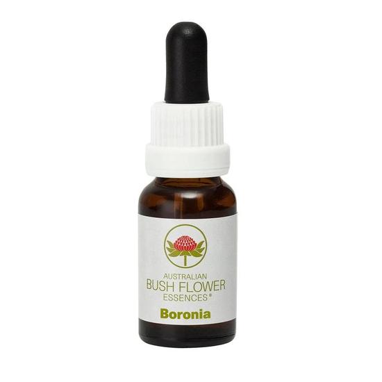 Australian Bush Flower Essences Boronia 15ml