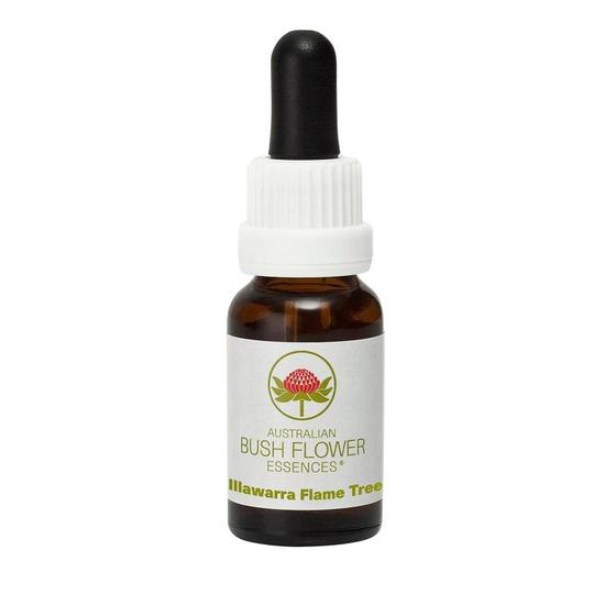 Australian Bush Flower Essences Illawarra Flame Tree 15ml