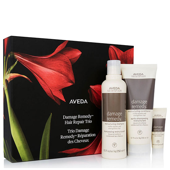 Aveda Damage Remedy Gift Set
