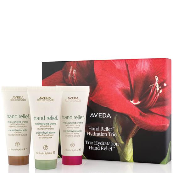 Aveda Renew Journey Gift Set