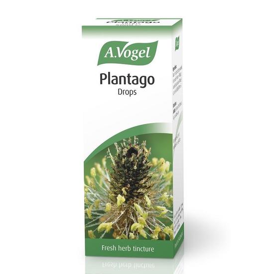 A.Vogel Plantago Lanceolata 50ml