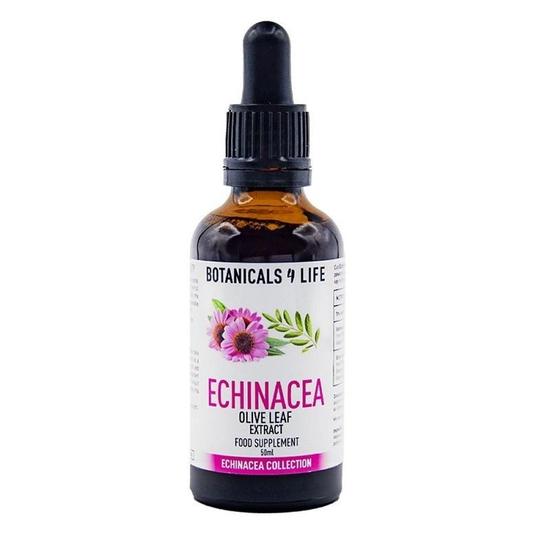 Botanicals4Life Echinacea & Olive Leaf Tincture 50ml