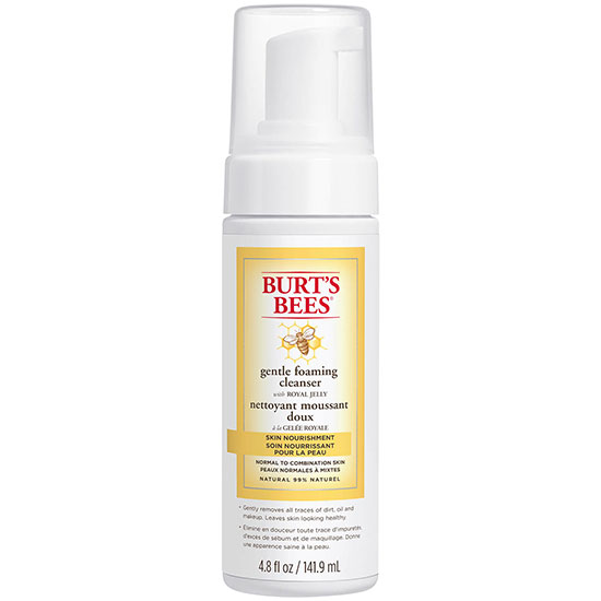 Burt's Bees Skin Nourishment Gentle Foaming Cleanser