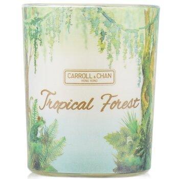 Carroll & Chan 100% Beeswax Votive Candle Tropical Forest 65g