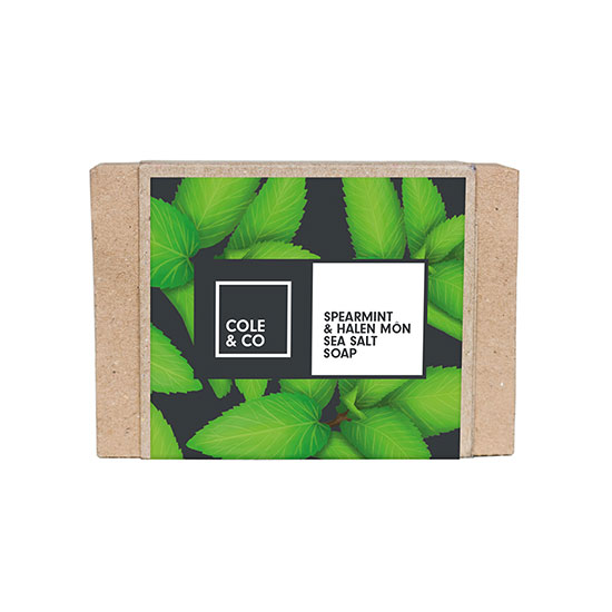 Cole & Co Spearmint & Halen Mon Sea Salt Soap 80g