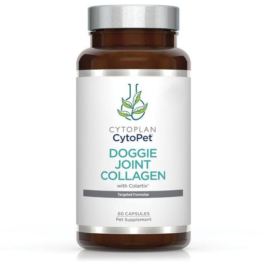 Cytoplan CytoPet Doggie Joint Collagen Capsules 60 Capsules