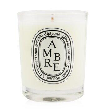 Diptyque Scented Candle Ambre 70g