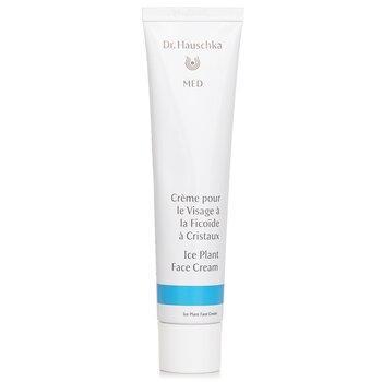 Dr Hauschka Med Ice Plant Face Cream 40ml