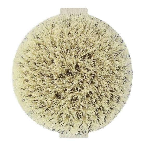 EcoTools Dry Body Brush