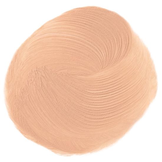 Elizabeth Arden Stroke Of Perfection Concealer Fair 01