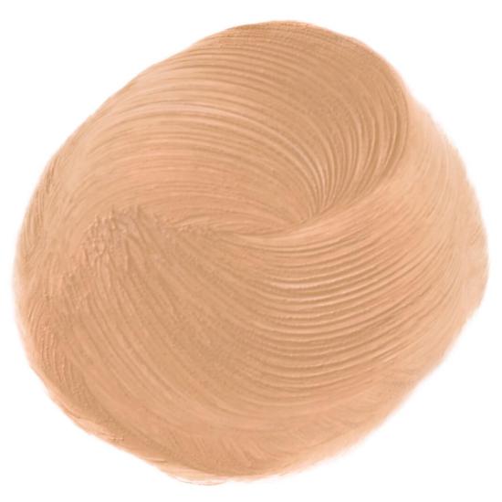 Elizabeth Arden Stroke Of Perfection Concealer Medium 03
