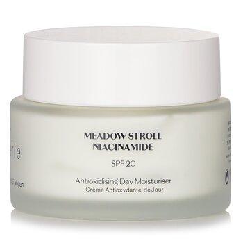 Flanerie Antioxidising Day Moisturiser SPF 20 45ml