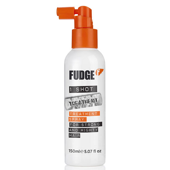 Fudge One Shot Treatment Spray