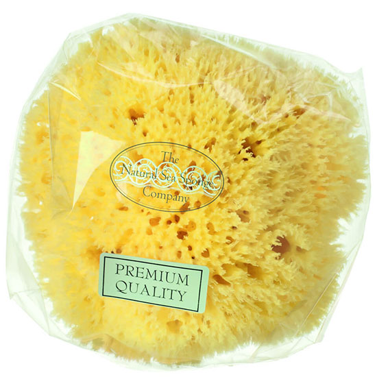 Hydréa London Honeycomb Sea Sponge