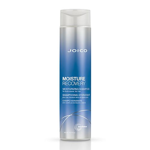 Joico Moisture Recovery Shampoo 300ml