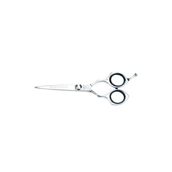 Kiepe Sensation Professional Hairdressing Scissors 5.5'' Regular
