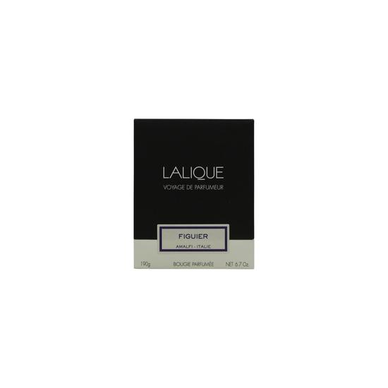 Lalique Figuier Amalfi Italie Candle 190g