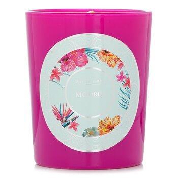 Max Benjamin Ocean Islands Candle Mo'orea 190g