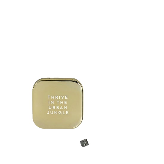 Pretty Useful Tools Power Bank Mirror Gold