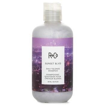 R+Co Sunset Blvd Daily Blonde Shampoo