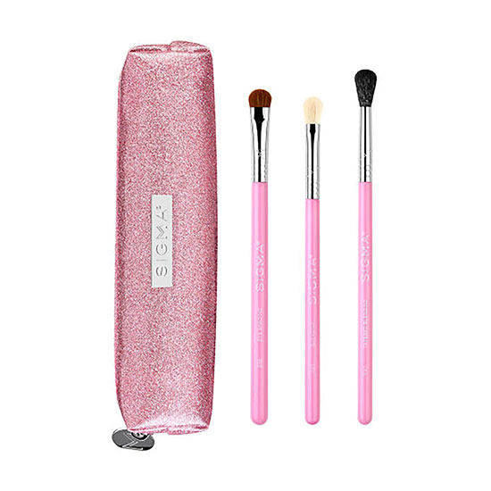 Sigma Beauty Passionately Pink Brush Set
