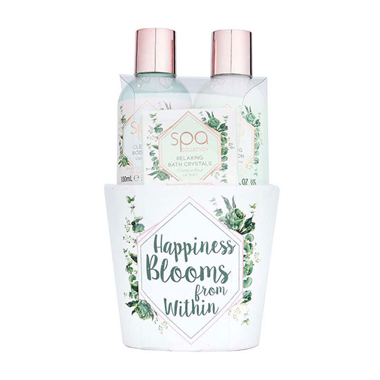 Style & Grace Botanique Pamper Pot
