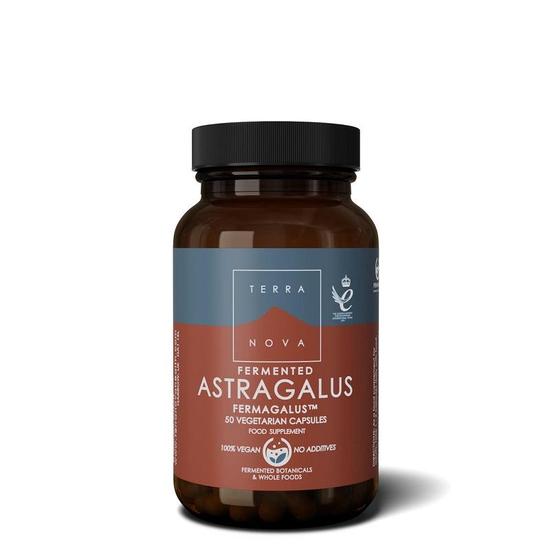 Terranova Fermented Astragalus Fermagalus Capsules 50 Capsules