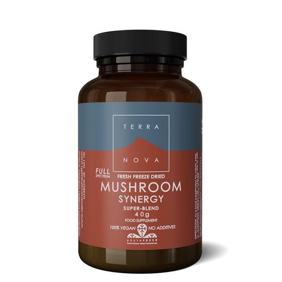 Terranova Mushroom Synergy Super-Blend Powder 40g