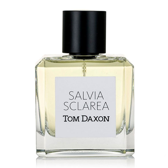 Tom Daxon Salvia Sclarea