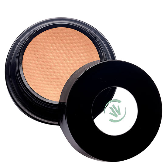 Vincent Longo Cosmetics Water Canvas Highlighter Light Lucky Light