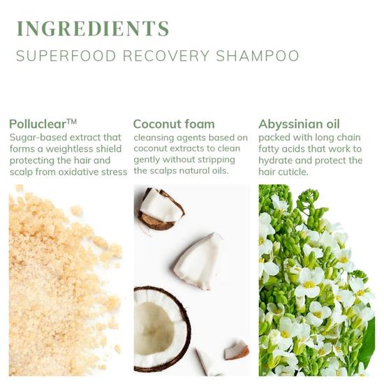 Abyssian Superfood Recovery Shampoo 250ml