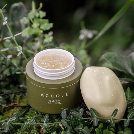 Accoje Reviving Gel Cream 50ml