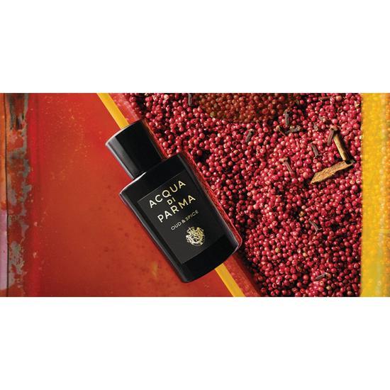 Acqua Di Parma Oud & Spice Eau De Parfum 20ml
