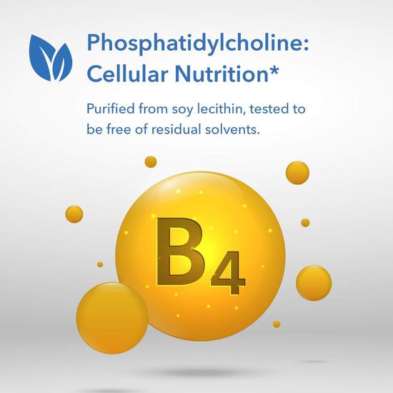 Allergy Research Group Phosphatidyl Choline 385mg Softgels 100 Softgels