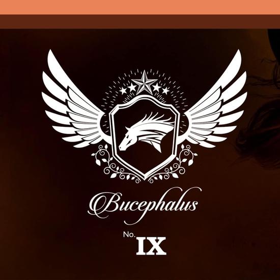 Armaf Bucephalus IX Improved 100ml
