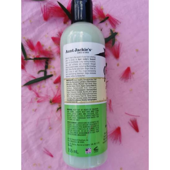 Aunt Jackie's Quench Moisture Intensive Leave-in Conditioner 12oz