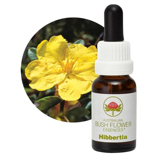 Australian Bush Flower Essences Australian Bush Flower Hibbertia 15ml