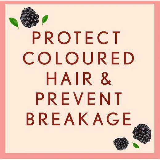 Aveeno Scalp Soothing Hair Care Colour Protect Blackberry & Quinoa Shampoo 354ml