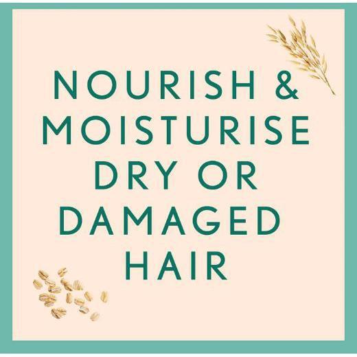 Aveeno Scalp Soothing Hair Care Daily Moisture Oat Milk Shampoo 354ml