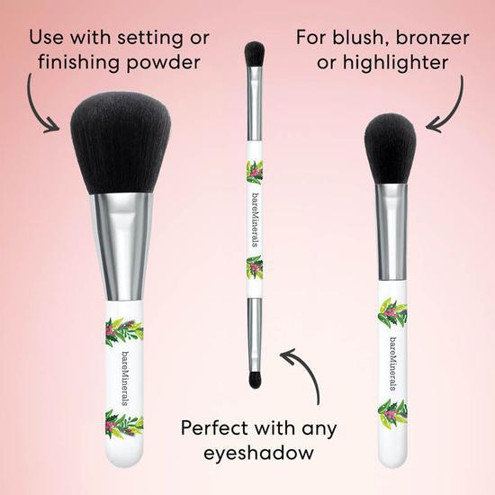 bareMinerals Face & Eye Brush Trio