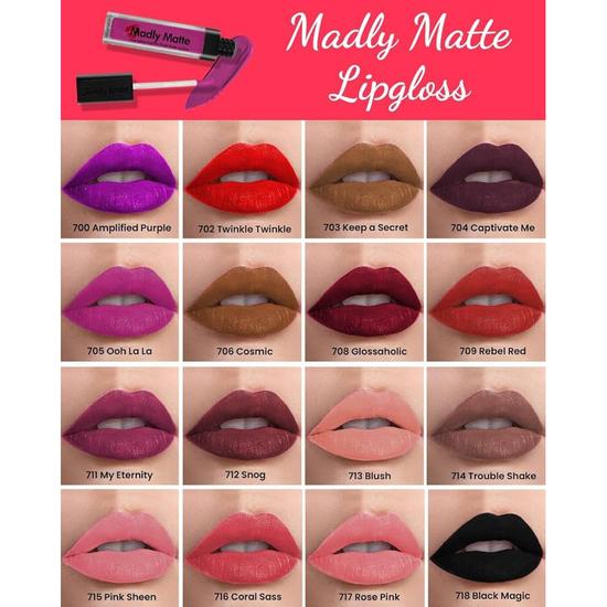 beauty forever BF Madly Matte Long Lasting Lip Gloss 712