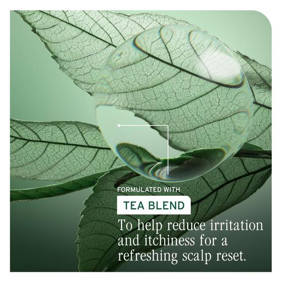 Biolage Scalp Sync Purifying With Gentle Exfoliating Scalp Concentrate 200ml