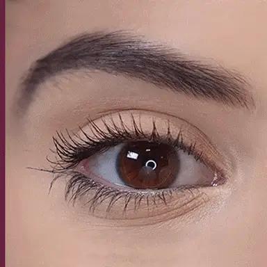 blinc Black Lash Primer Black
