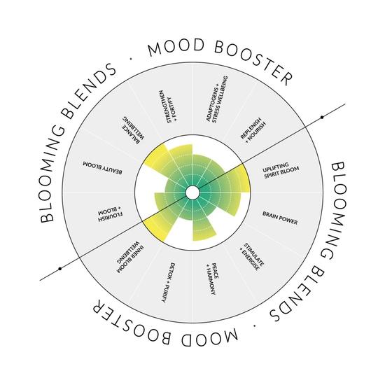 Blooming Blends Be Happy Tincture Blend 30ml