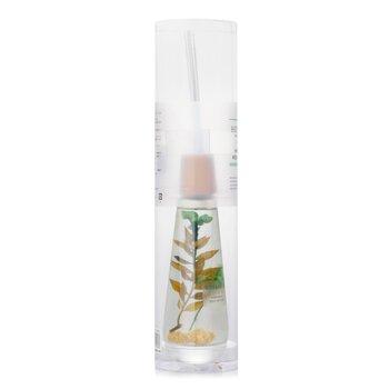 Botanica Home Fragrance Herbarium Reed Diffuser Green 140ml